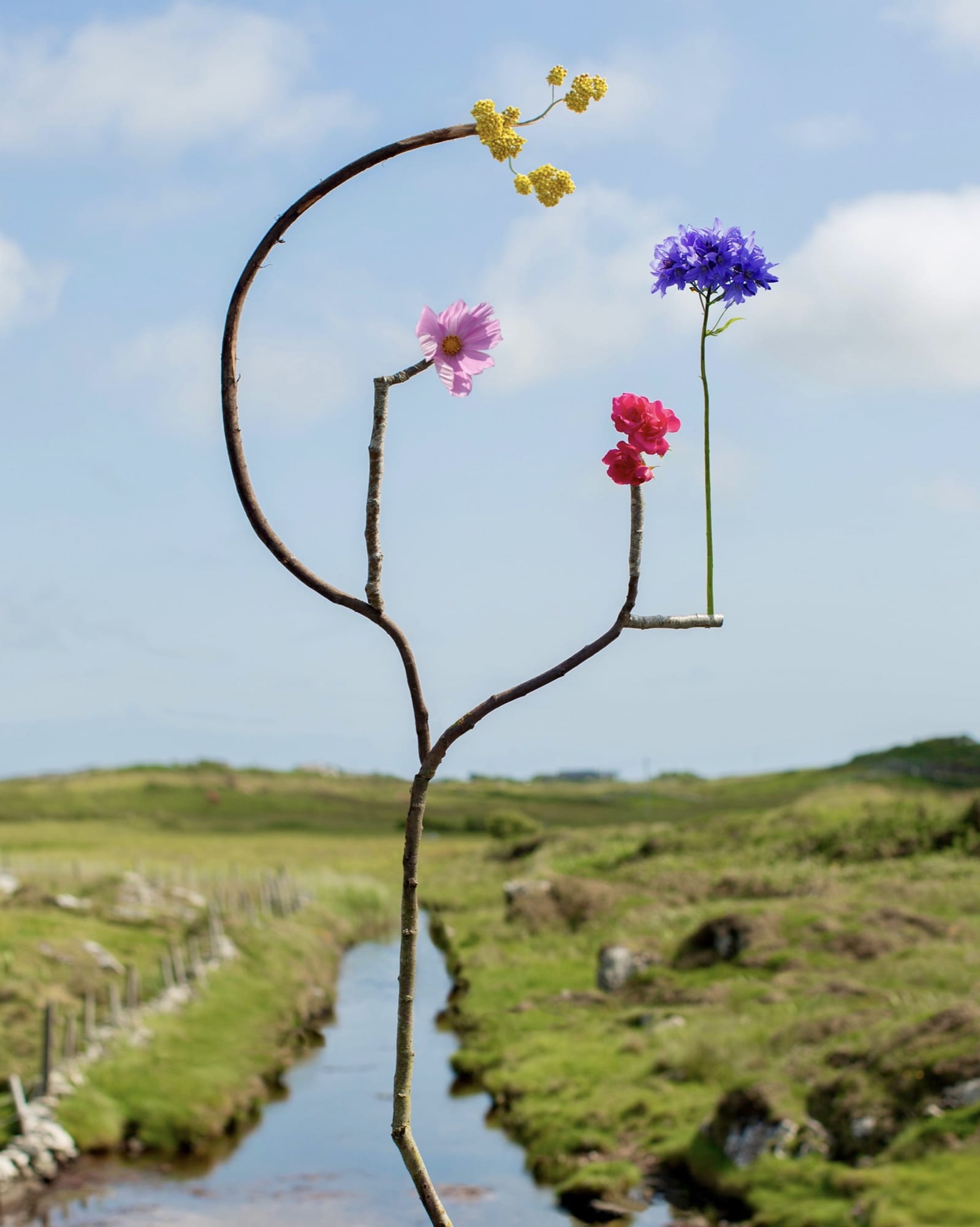 a sculptural floral assemblage by jennifer latour photographed against a serene landscape